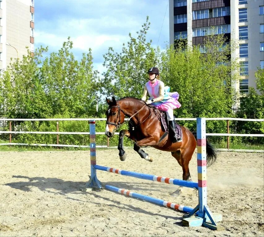 Кск мустанг спб. Кск мустанг озерск. Автомойки в озерске челябинской области. Манеж для иппотерапии. Автокомплекс.