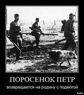 Возвращайся на родину