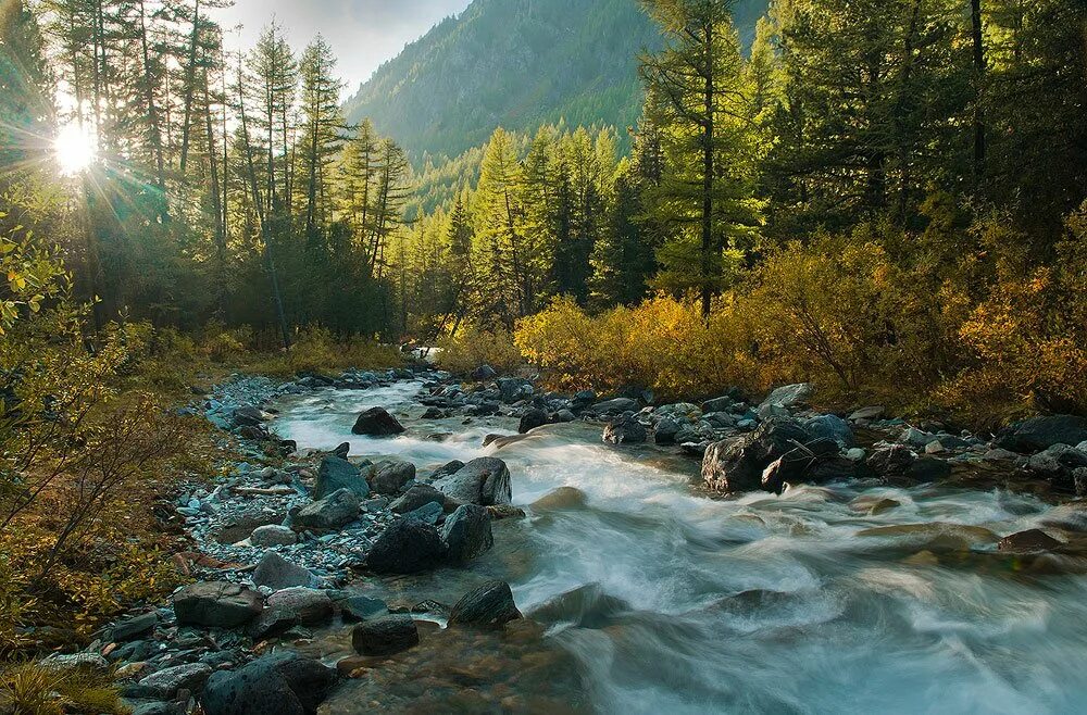 Photo Gallery - Tagged: kootenay ePHOTOzine