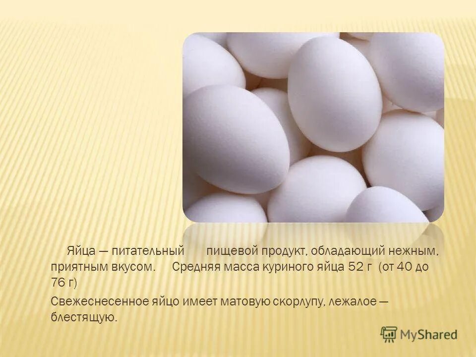 Вес куриной скорлупы. Яйцо (пищевой продукт). Яйцо полезные вещества. Тонкая скорлупа у куриных яиц. Описание яйца.