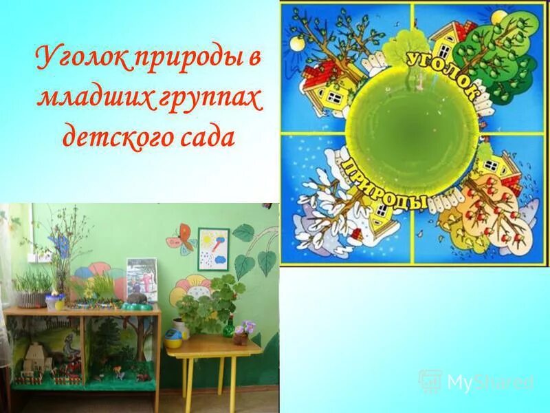 Уголок природы задачи. Уголок природы. Уголок природы в детском саду. Экологический уголок в детском саду. Уголок природы в ДОУ.