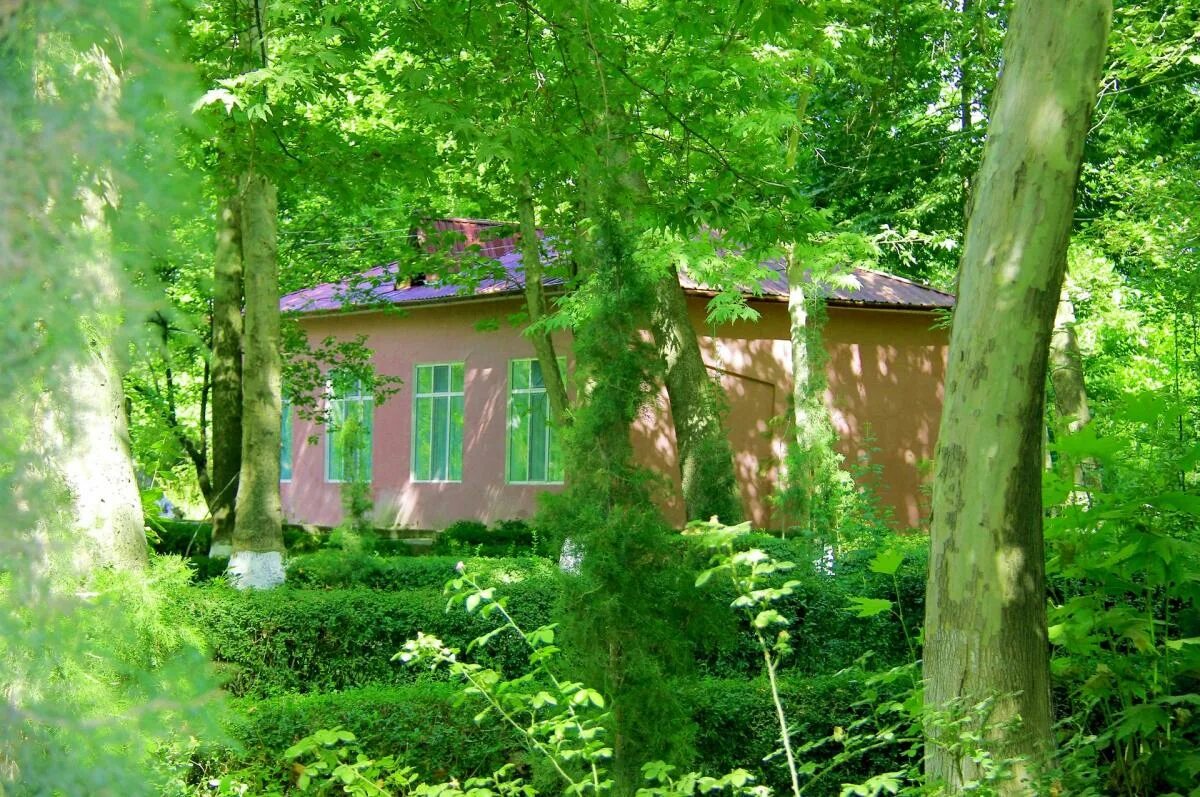 мираки кашкадарья. погода мираки. мираки. погода мираки. санаторий мираки узбекистан.