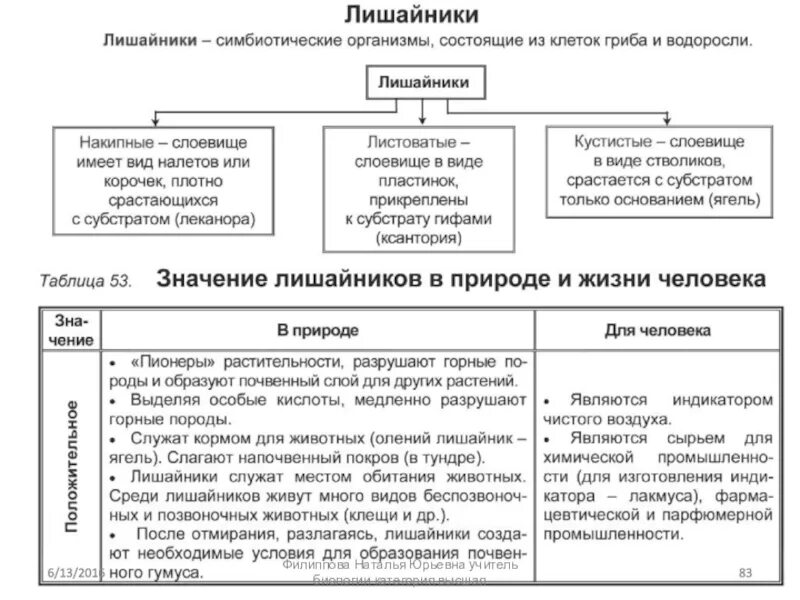 Характеристика грибы лишайники. Сравнительная характеристика грибов и лишайников таблица. Царство грибы лишайники таблица по биологии. Бактерии грибы лишайники таблица. Сравнение грибов и лишайников таблица.