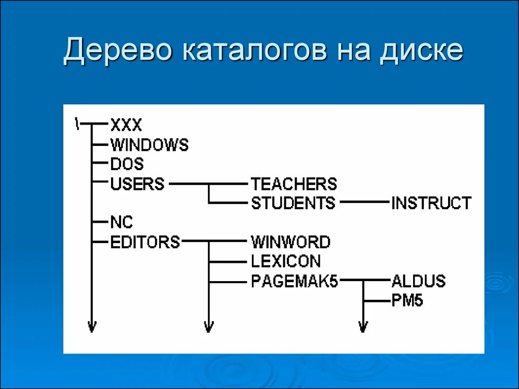 Папка каталоги дерево каталогов. Дерево каталогов Информатика. Построить дерево каталогов. Дерево каталогов на диске. Каталог дерево каталогов.