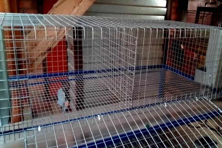 Купить сетку для кроликов. Сетка для кроликов. Сетчатые клетки для кроликов. Сетка для клеток кроликов. Клетки для кроликов из сетки.