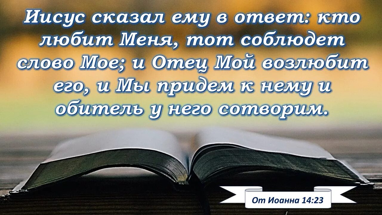 Книга была по его словам. Открытки с текстами из Библии.. Библия в стихах и картинках. Стихи из Библии в картинках. Открытки со словами из Библии.