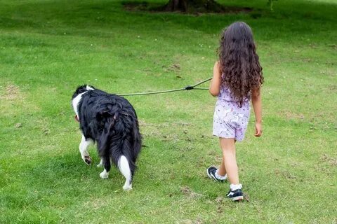 I walk like a dog