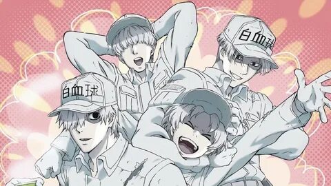 I b works