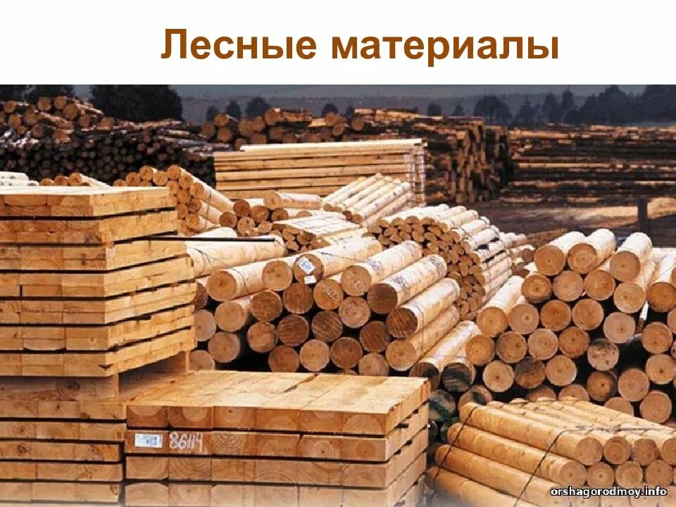 Дерево дрова. Торец бревна. Древесина. Тонкомер лиственница. Лес древесина.