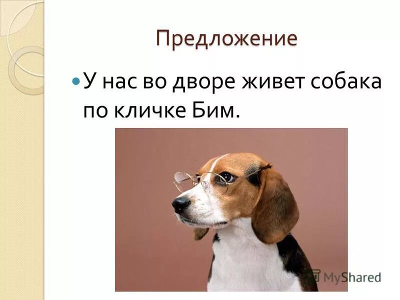 Предложение про собаку. Собака по кличке Бим. Собачка жучка предложения. У нас живет собака по кличке.