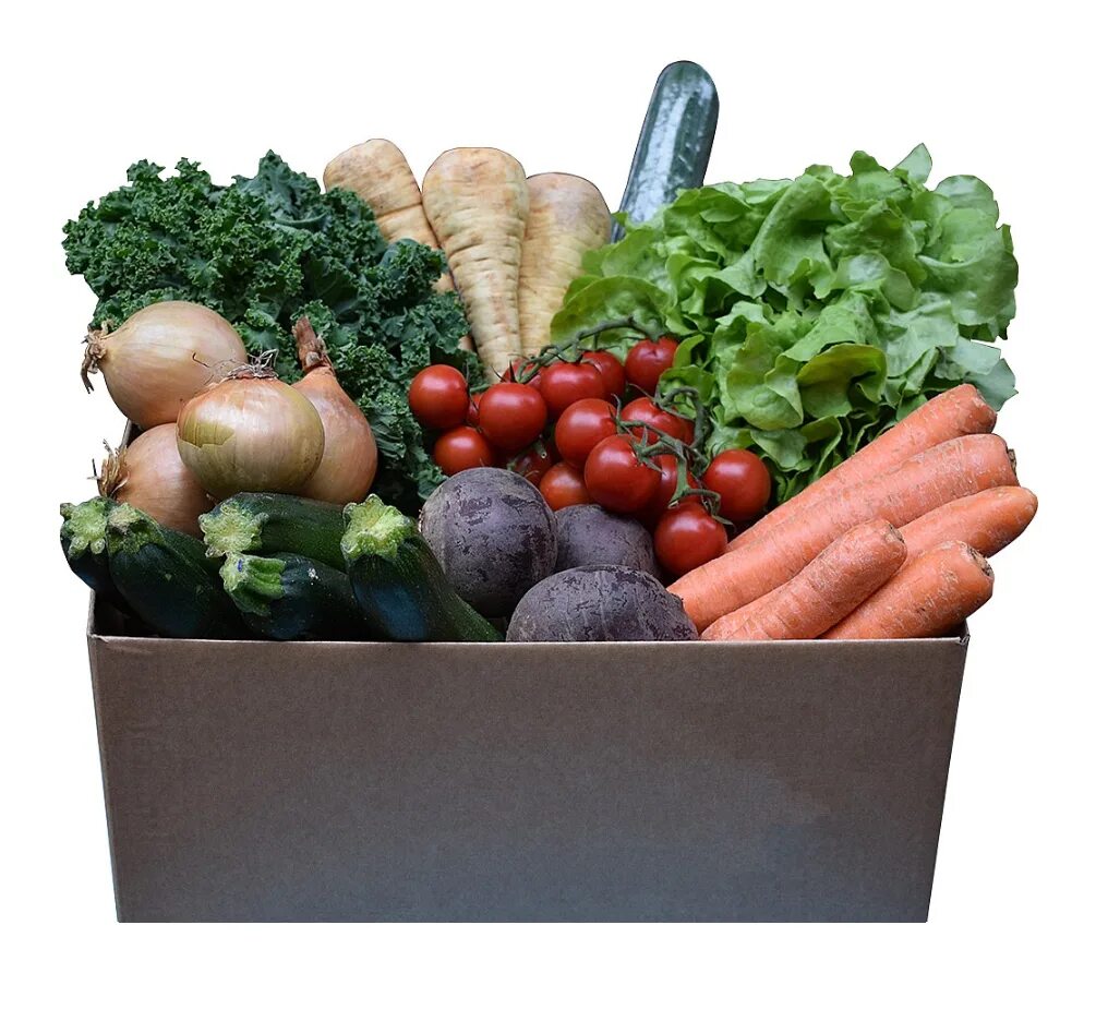 Доставка плодовых. Овощи. Упаковка овощей. Поставки овощей и фруктов. Набор овощной.