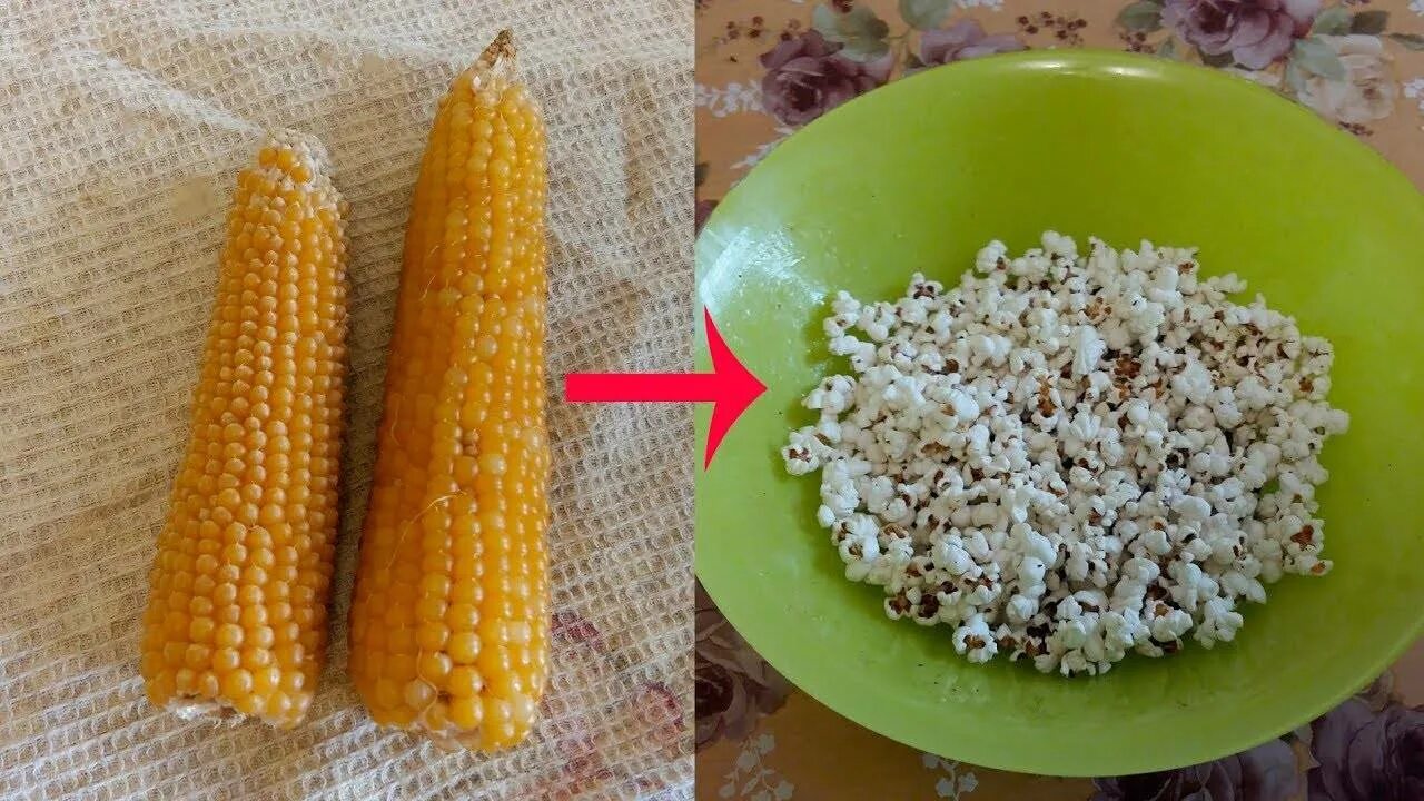Как приготовить домашнюю кукурузу
