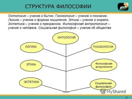 Основная структура философии