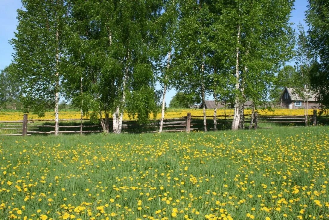 Деревня 1 мая. Май в деревне. Весенняя деревня. Май природа деревня.