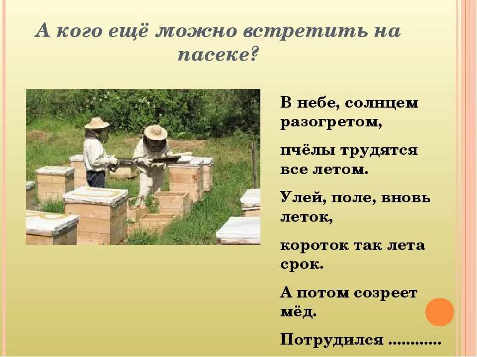 Загадка про пчеловода. Загадки на тему пасека. Загадка про пчеловода для детей. Загадка про пчелу для детей.