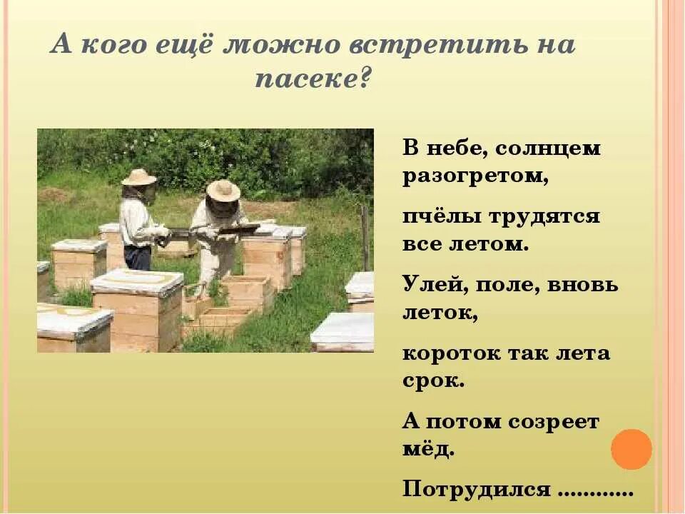 Пчеловод получает с умного улья данные. Загадка про пчеловода. загадки на тему пасека. загадка про пчеловода для детей. загадка про пчелу для детей.