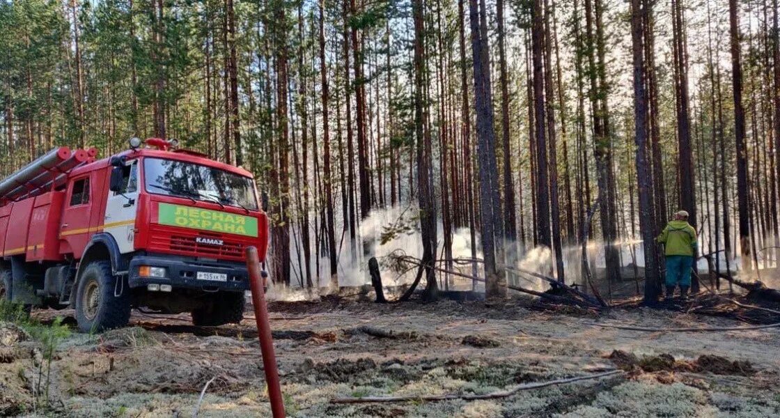 База авиационной и наземной охраны лесов Ханты-Мансийск. Лесные пожары в ХМАО. Лесные пожары в ХМАО 2022. Пожар в лесу Ханты-Мансийского округа. Чс хмао