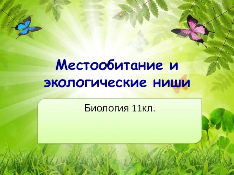 Презентация по биологии. Место обитания и экологические ниши. Местообитание и экологические ниши. Презентация 11 класс. Темы для проекта по биологии 11