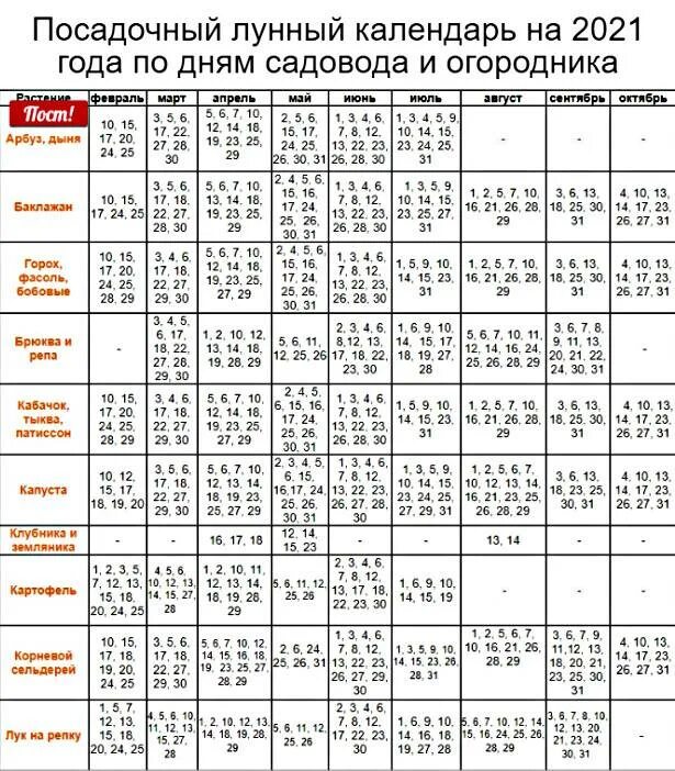 Лунный календарь для посадки рассады на 2023 год. Календарь огородника на 2021 посадочный лунный. Лунный календарь посева семян томатов на 2023 год. Лунный календарь огородника на апрель 2023 года посевной.