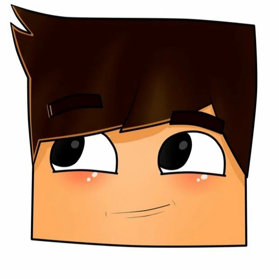 головы персонажей из майнкрафта. головы со скином майнкрафт. головы из майнкрафта. нубик голова. стив майнкрафт лицо.