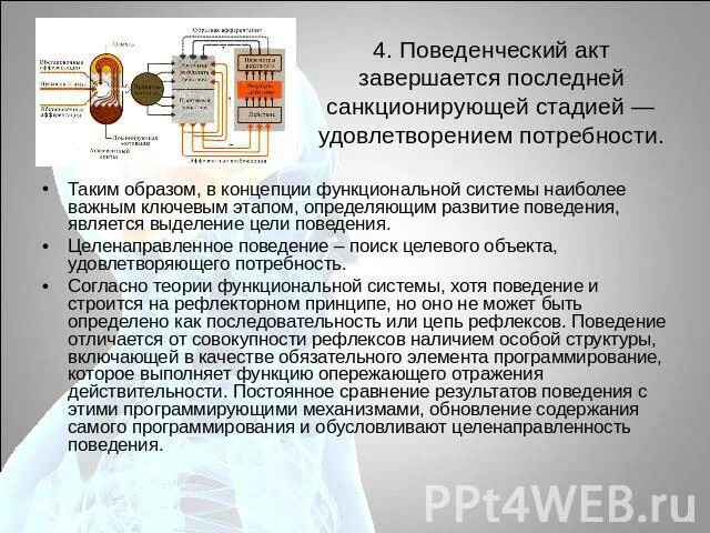 Поведенческий акт человека. Поведенческий акт человека. Поведенческий протокол. Поведенческий акт человека. Поведенческий акт человека.