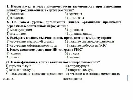 Лабораторная работа по биологии строение клетки вывод