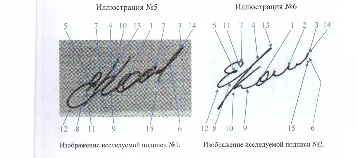 Как поставить подпись за надеждина. Посмертная почерковедческая экспертиза подписи. Фальшивая подпись.