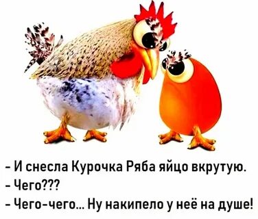 Цыпленок курицу не учит