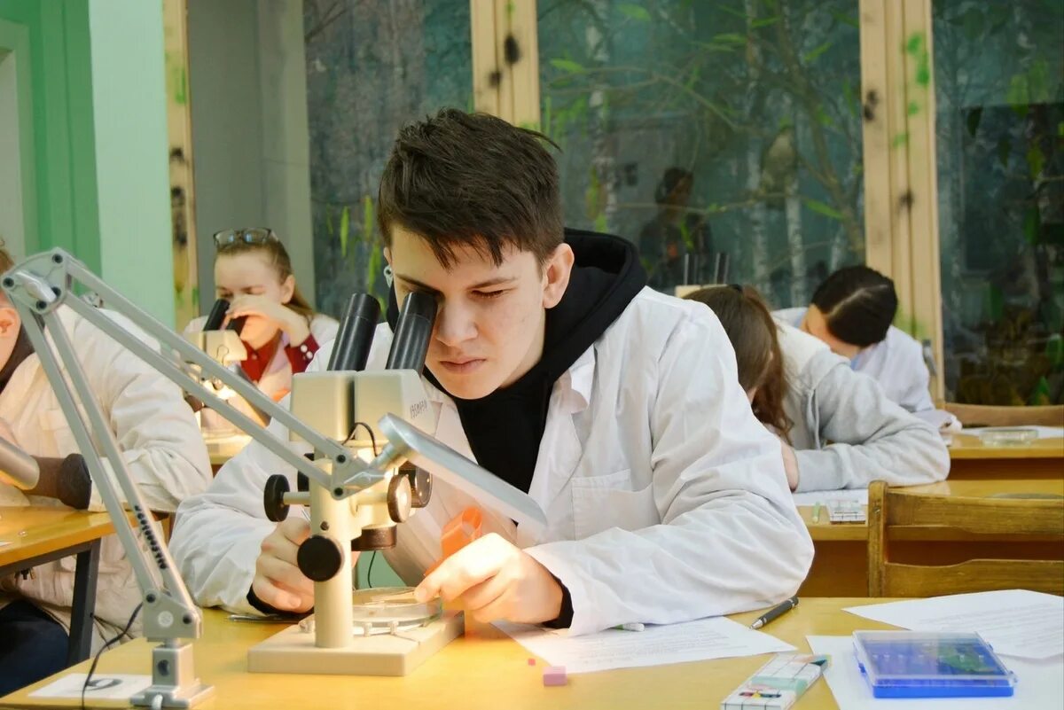 Научно естественное образование. Научно естественное образование. Естественно-научная направленность в дополнительном образовании. Научно естественное образование. Образование и наука естественные гуманитарные.