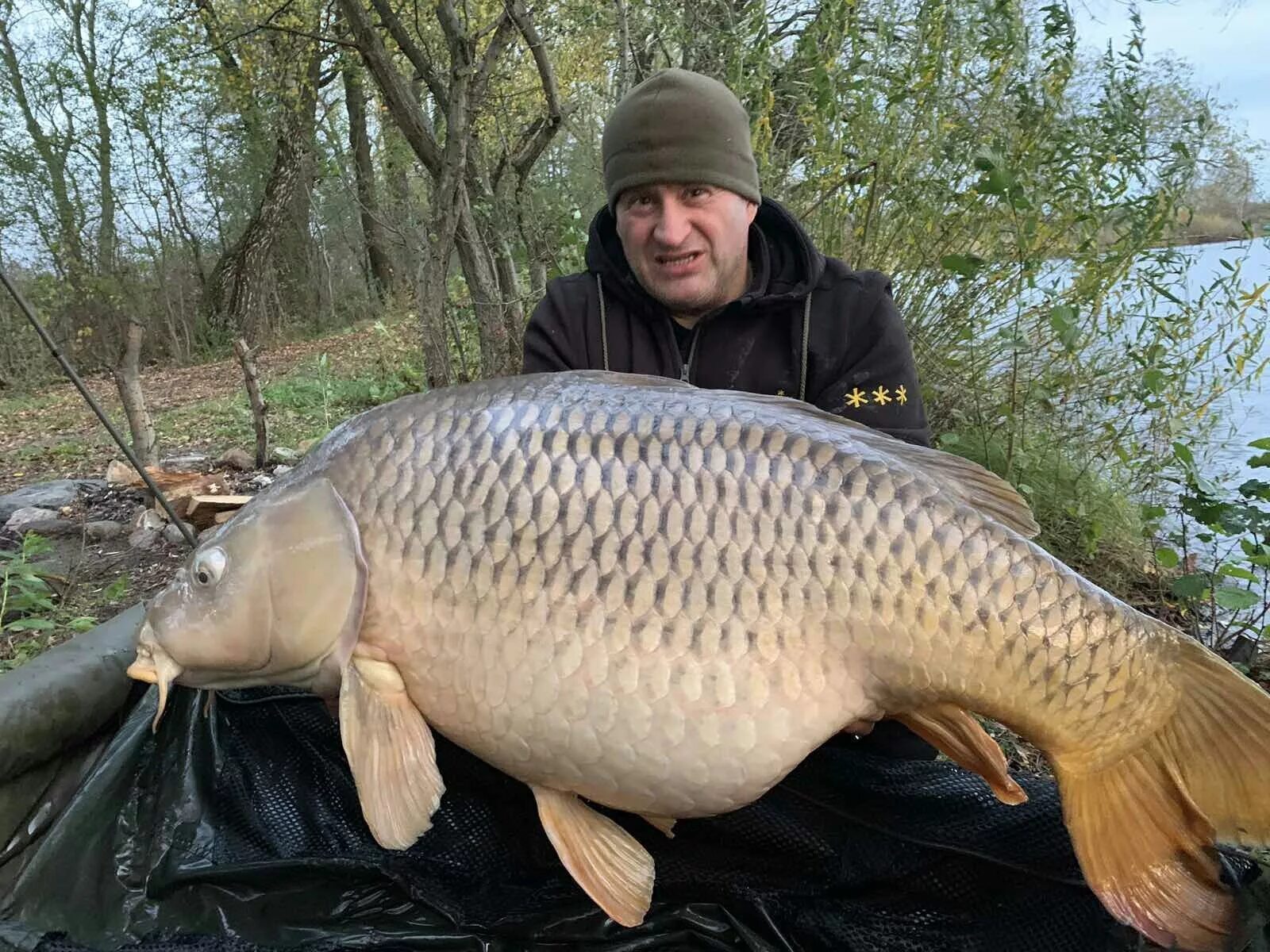 Рыбалка самый большой. Карп 26 килограмм карповое озеро Калининград. Самый большой Карп. Самый крупный карась. Самая большая карась.