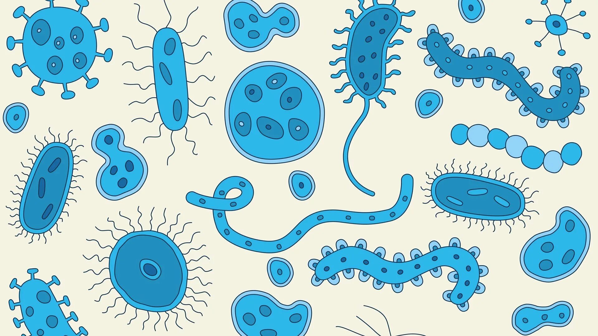 Бактерии микробы микрофаги. Бактерии рисунок. Бактерии мультяшные. Полезные бактерии рисунок.