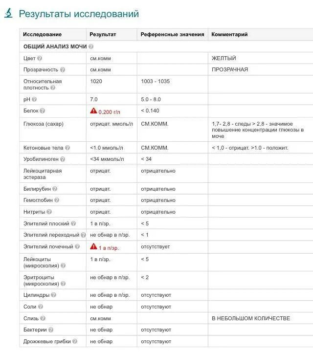 Что повышено в моче при беременности. Анализ мочи эпителий плоский норма. Нормальные показатели анализа мочи эпителий. Анализ мочи норма лейкоцитов эпителий плоский. Эпителий плоский мочи норма.