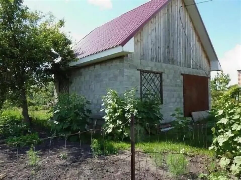 Дачи в СНТ Василёк. Дача в Кунье. Старый Оскол дача Василек. Кунье Старооскольский район.