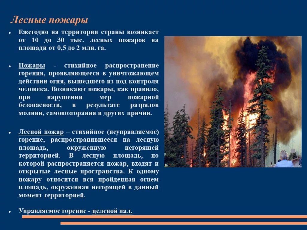 Характеристика лесных пожаров обж. Природные пожары ЧС природного характера. Чрезвычайная ситуация пожар. ЧС Лесные пожары. Характеристика ЧС природного характера: Лесной пожар.