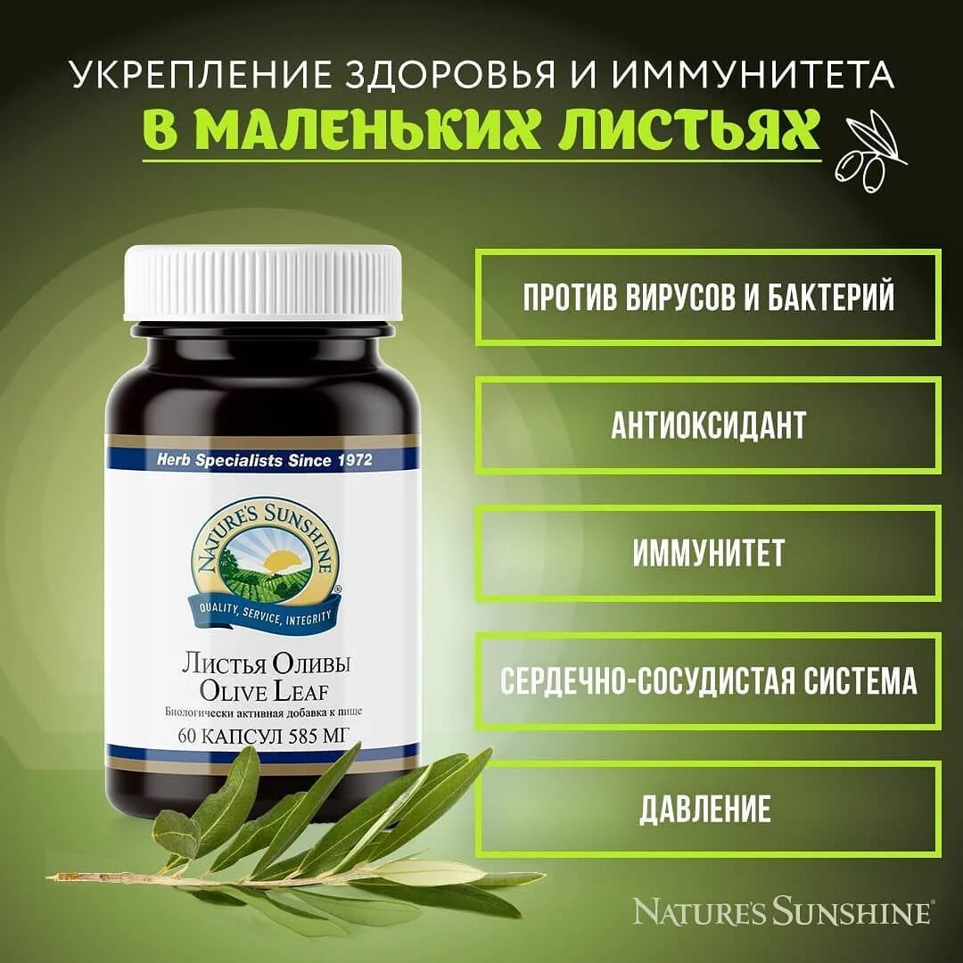 Лимфатик дренаж nsp. Листья оливы в капсулах. Листья оливы нсп. Экстракт листьев оливы эрсаг. Листья оливы нсп.
