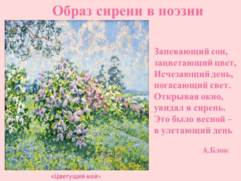 Русский язык 5 класс картина летом. Образ сирени в поэзии. Стихи про сирень. Стихотворение о сирени русских поэтов. Образ весны в поэзии.