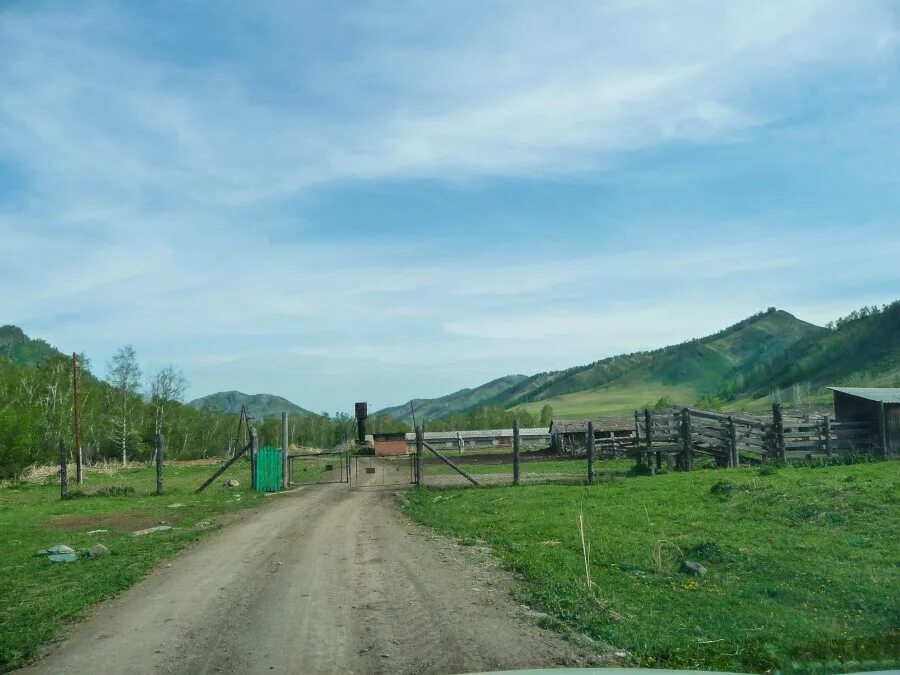 улус черга шебалинский район. село улус-черга республика алтай. шебалино горный алтай. малая черга республика алтай. черга республика алтай.
