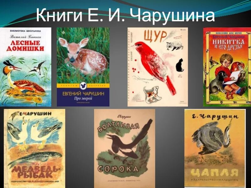 Какие рассказы е чарушина. Чарушин известные произведения для детей. произведение евгения чарушина в первом классе. произведения чарушина для дошкольников. евгений чарушин книги для детей.
