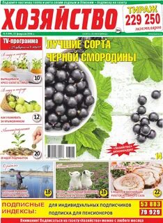 Газета хозяйство