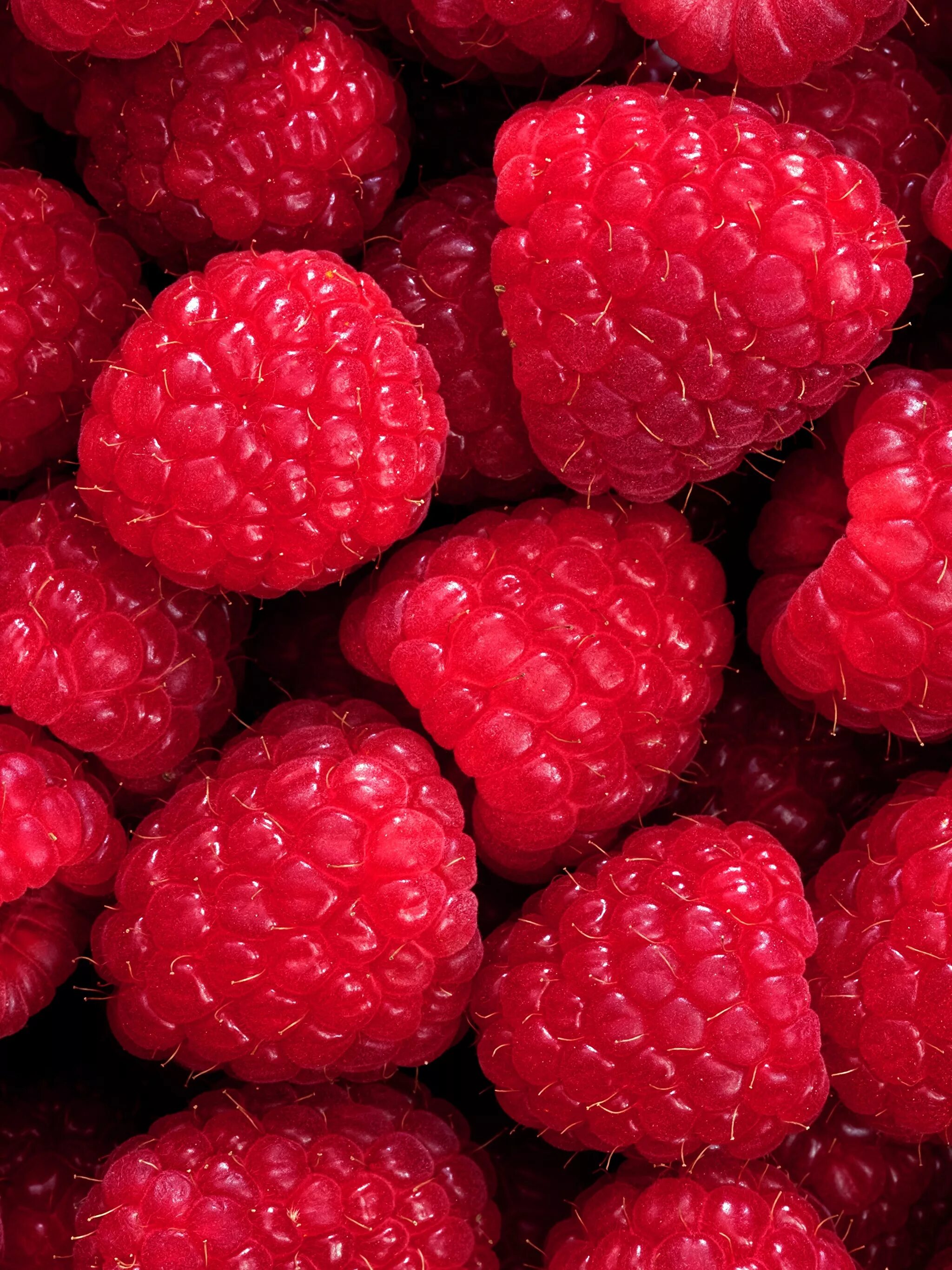 ежевика многокостянка. телефон ягода. телефон ягода. заставки на телефон фрукты. фрукты и ягоды.