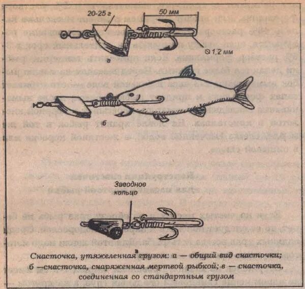 Мертвая ловля. Снасточка для ловли на мёртвую рыбку. Ловля на снасточку с мертвой рыбкой. Снасточка капкан Павлова. Снасточка Крючкова для ловли щуки на мертвую рыбку.