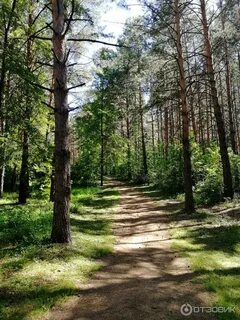 Что такое терренкур в санатории