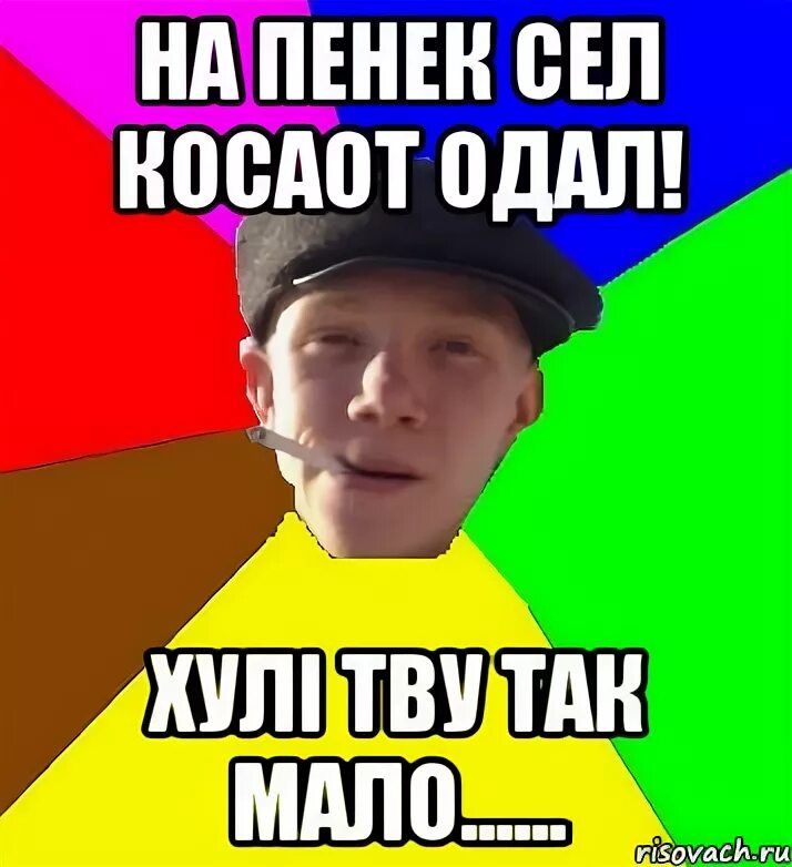 Ежик сел на пенек и задохнулся. На пенек сел. ежик научился дышать попой сел на пенек и задохнулся. на пенек сел мем. мем про ивана сел на пенек.