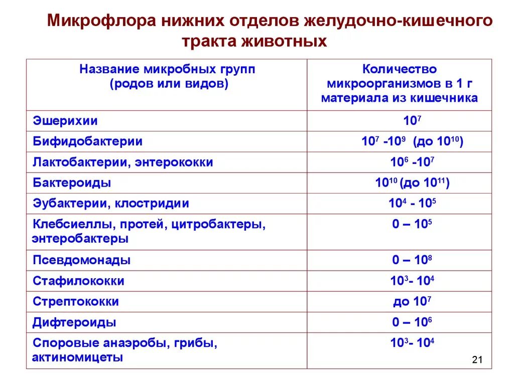 Норма бактерия. Нормальная микрофлора желудка микробиология. микрофлора желудочно-кишечного тракта животных. нормальная микрофлора человека микробиология таблица. нормальная микрофлора микроорганизмы животного.