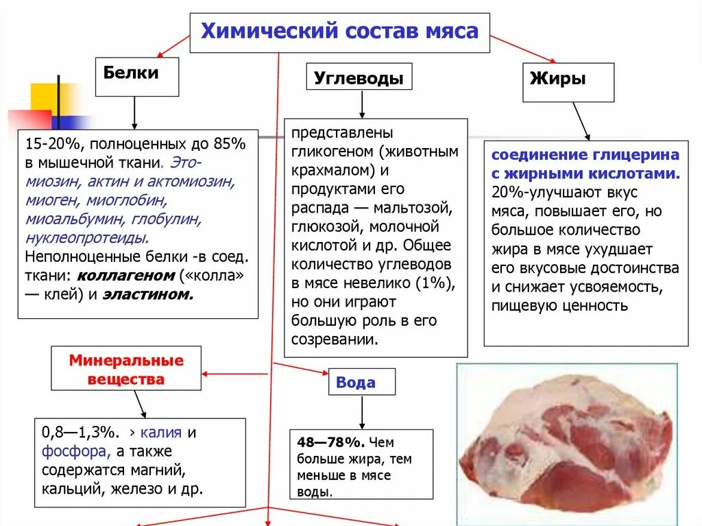 Мясо содержание веществ