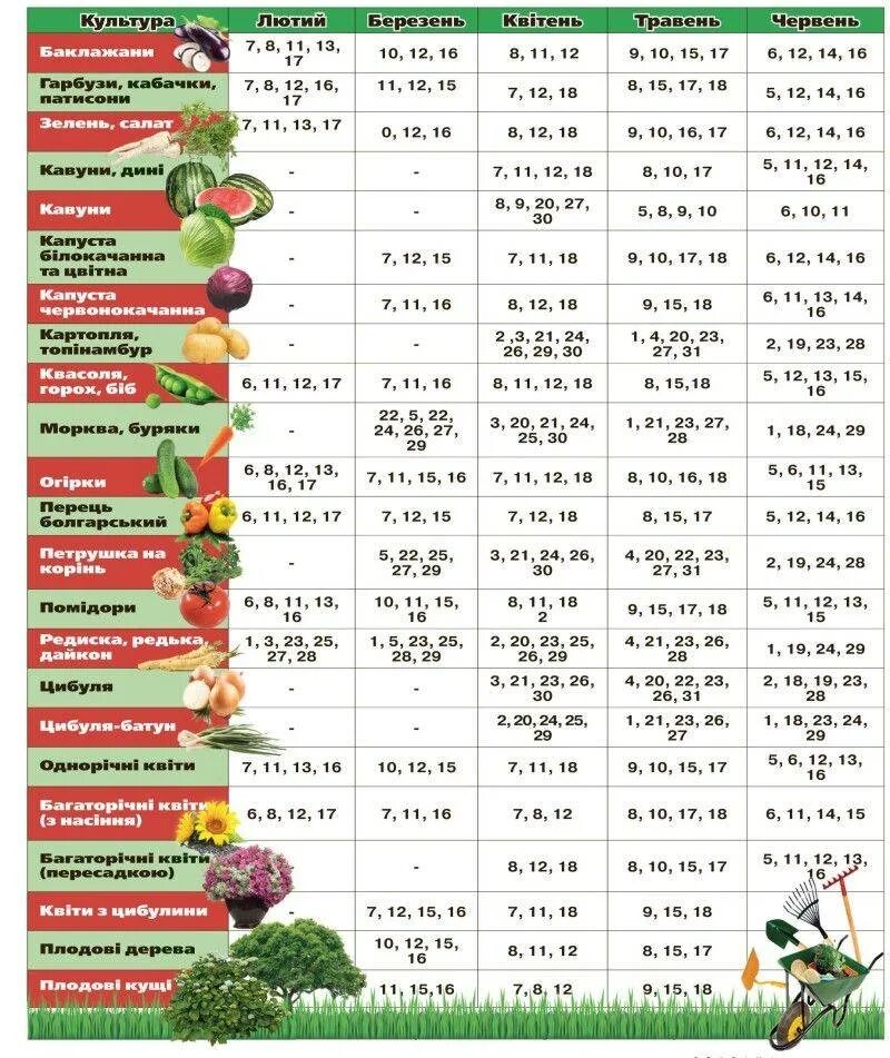 Календарь посадки комнатных растений на март. Календарь посадки однолетних цветов. Календарь посадок яблонь. Красивый посевной календарь. Запретные дни для садоводов.