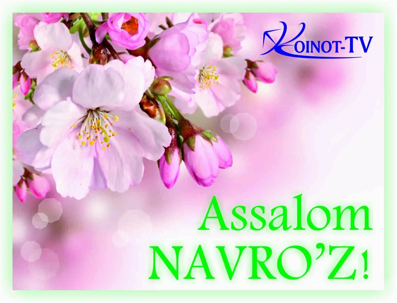 Assalom Navruz. Навруз открытки. С праздником Навруз. С весенним праздником Навруз. Навруз табриклари фото