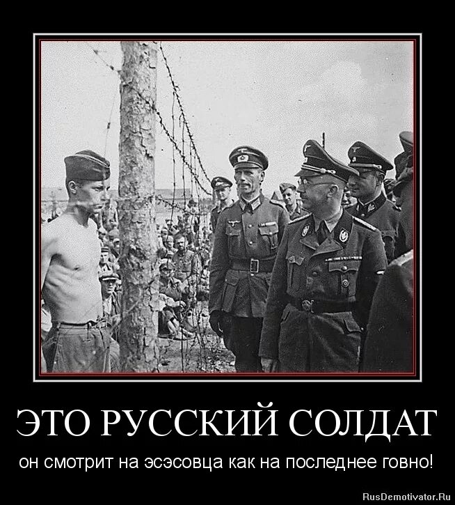 Демотиваторы про немцев. Демотиваторы про солдат. Демотиваторы про русских. Почему солдаты не хотят