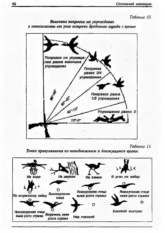 Скорость полета гуся. Охота на вальдшнепа упреждение при стрельбе. Упреждение при стрельбе по утке таблица. Схема упреждения при стрельбе. Правильное упреждение при охоте на утку.
