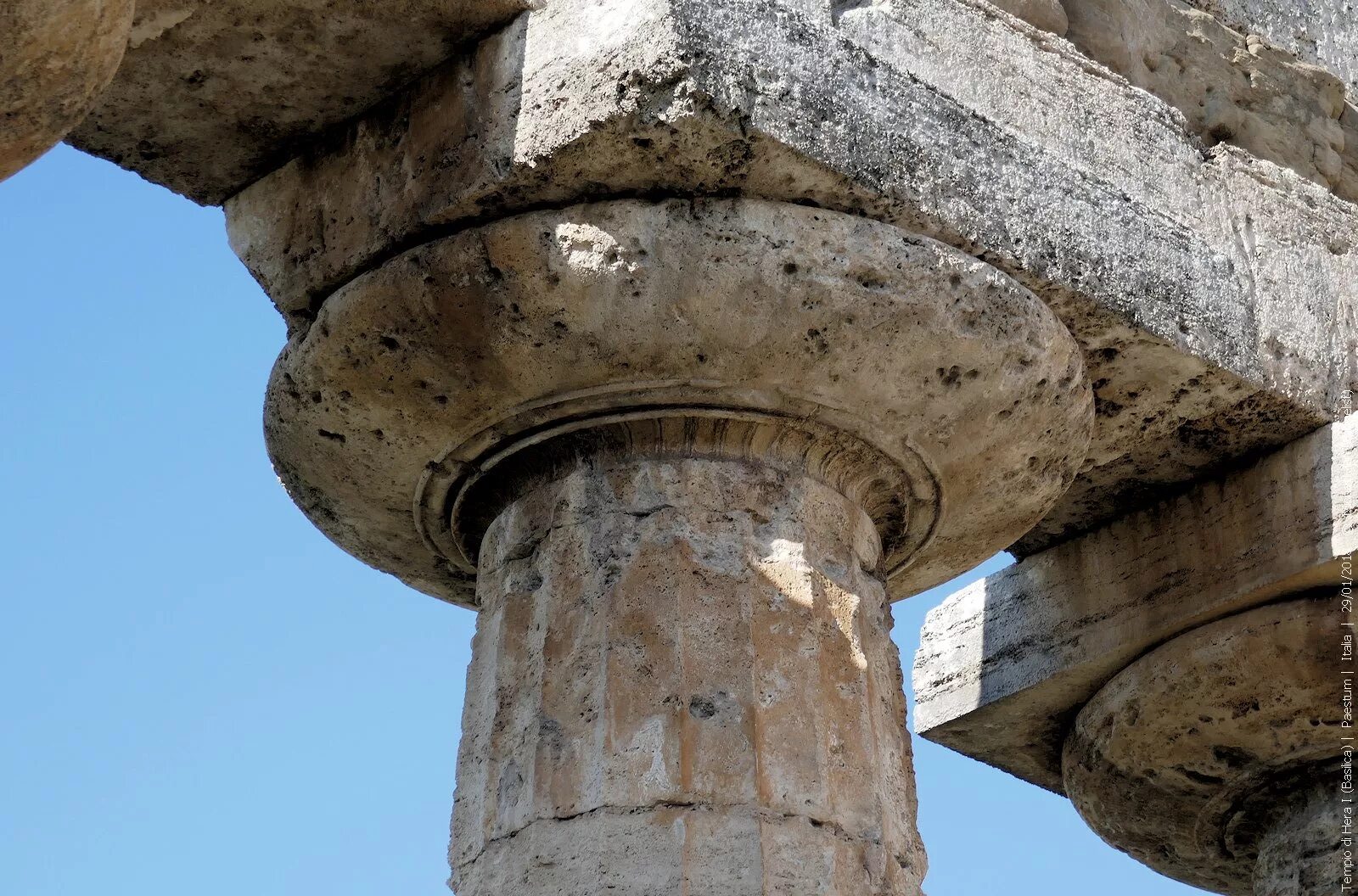 Дорическая Капитель. Рим храм Диоскуров Капитель. Дорическая колонна. Архаический стиль дорическая колонна.